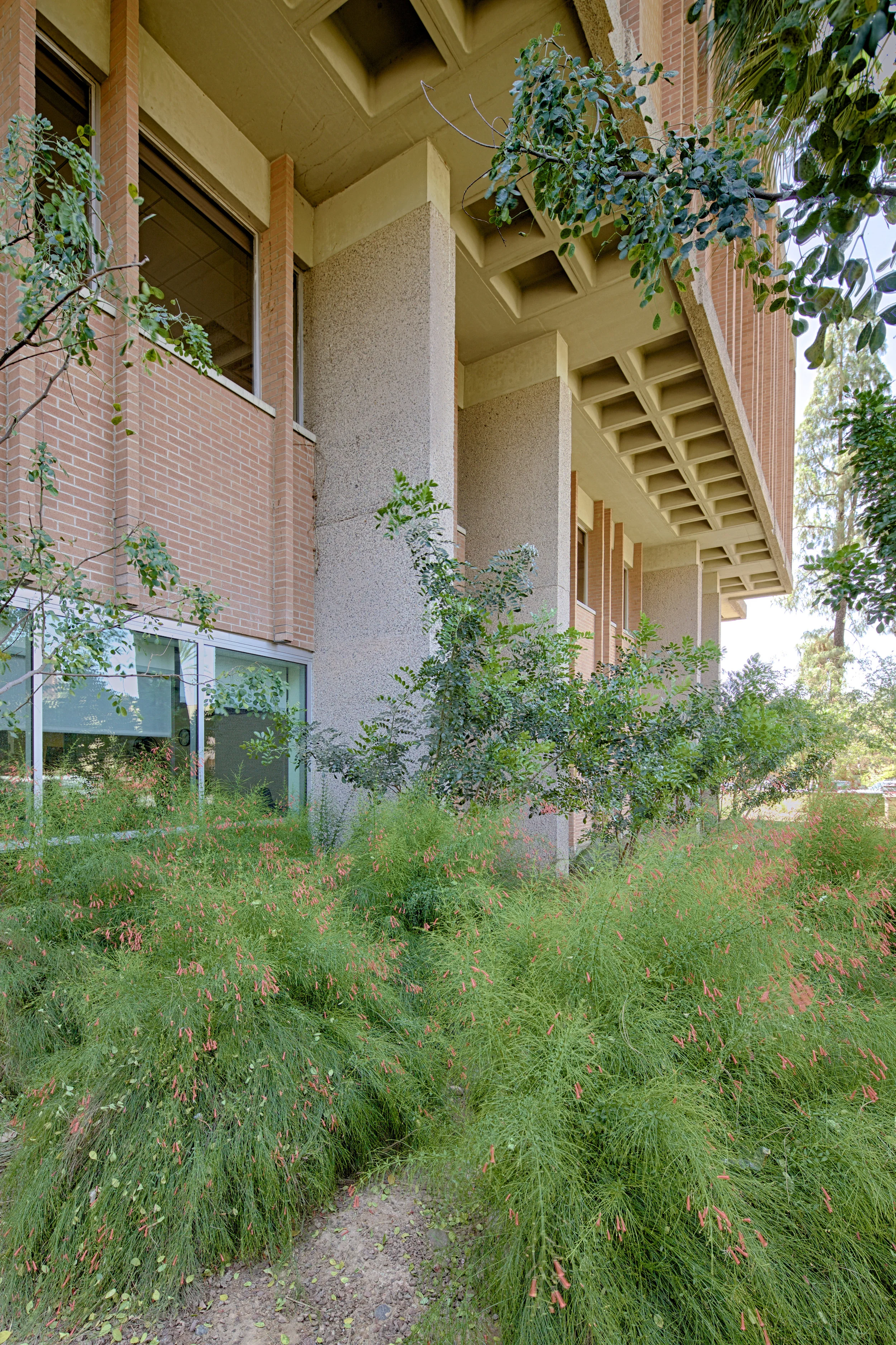 4-ASUcourtyardHIGH_Andrew-Pielage-6.jpg