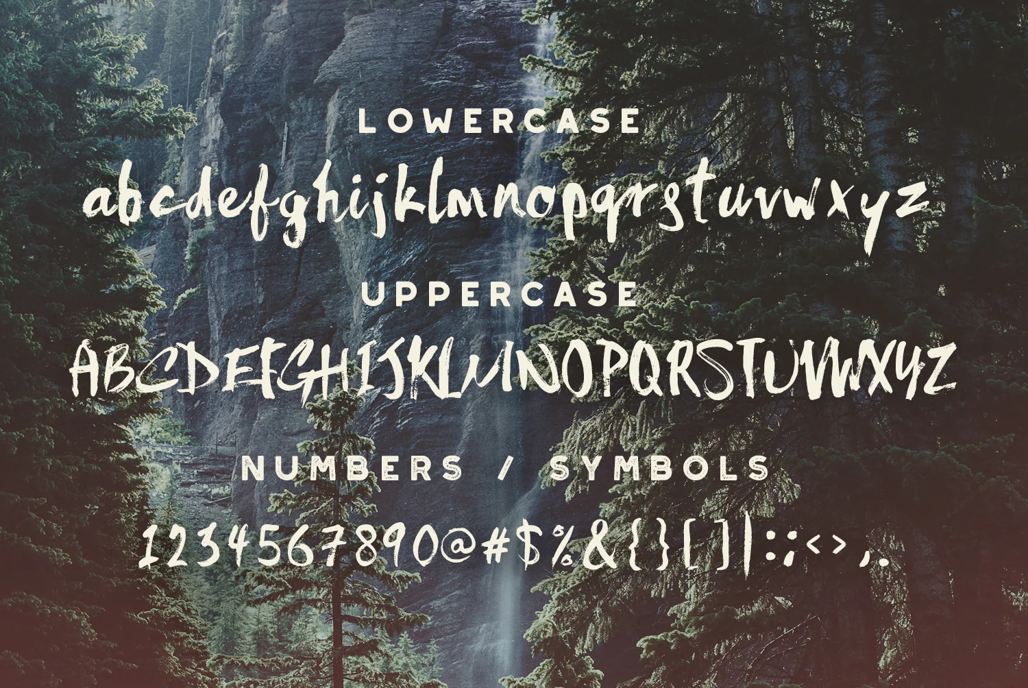 CMSunfast-Suppor-Characters.jpg