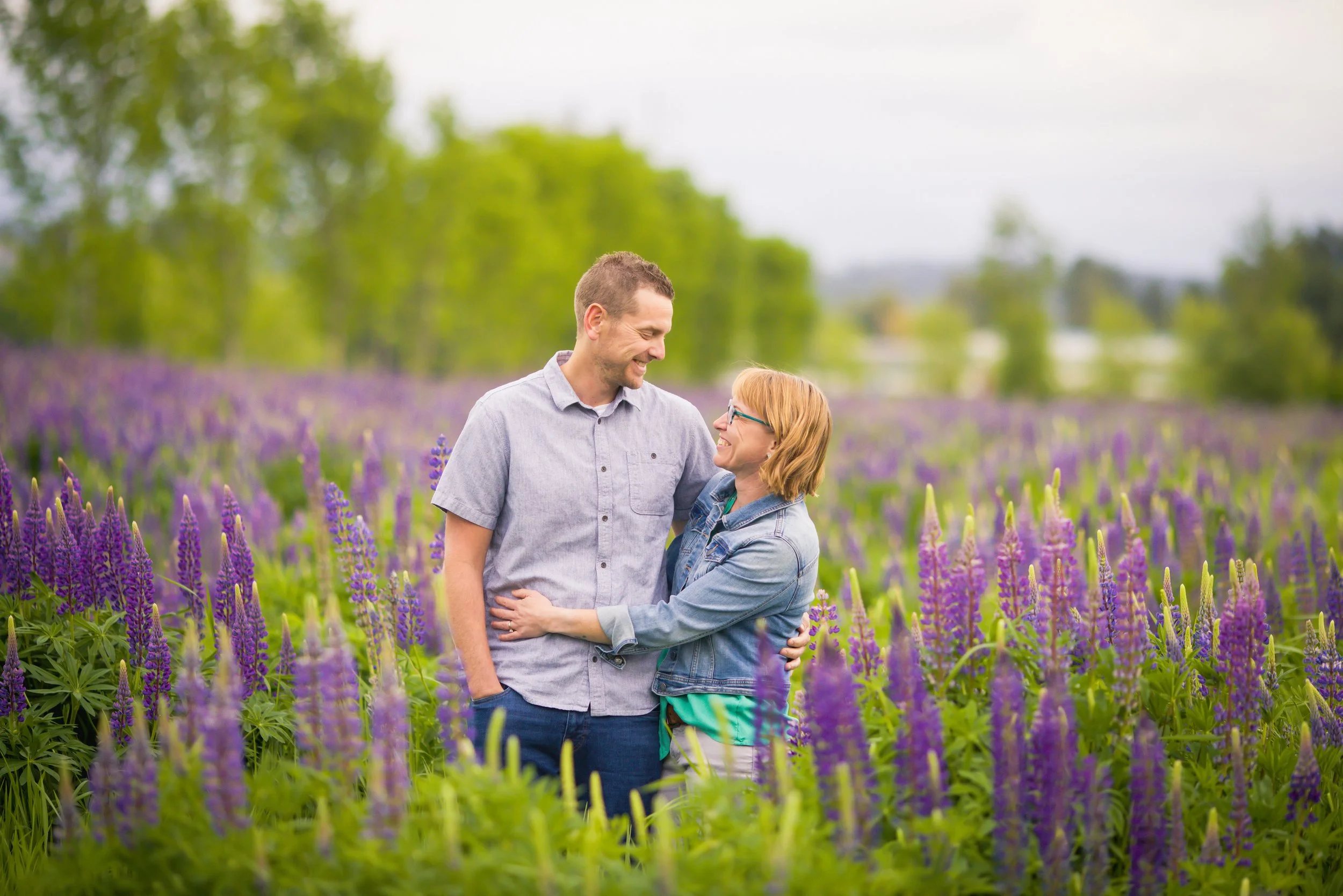 3-Skjonsby Spring Lupines 2024-13.JPG