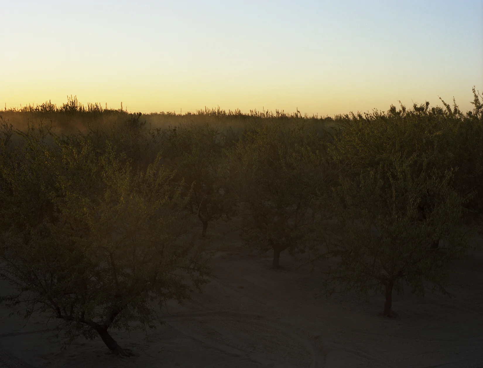  Valley Dusk, 2013, C-Print,&nbsp;20"x24" 