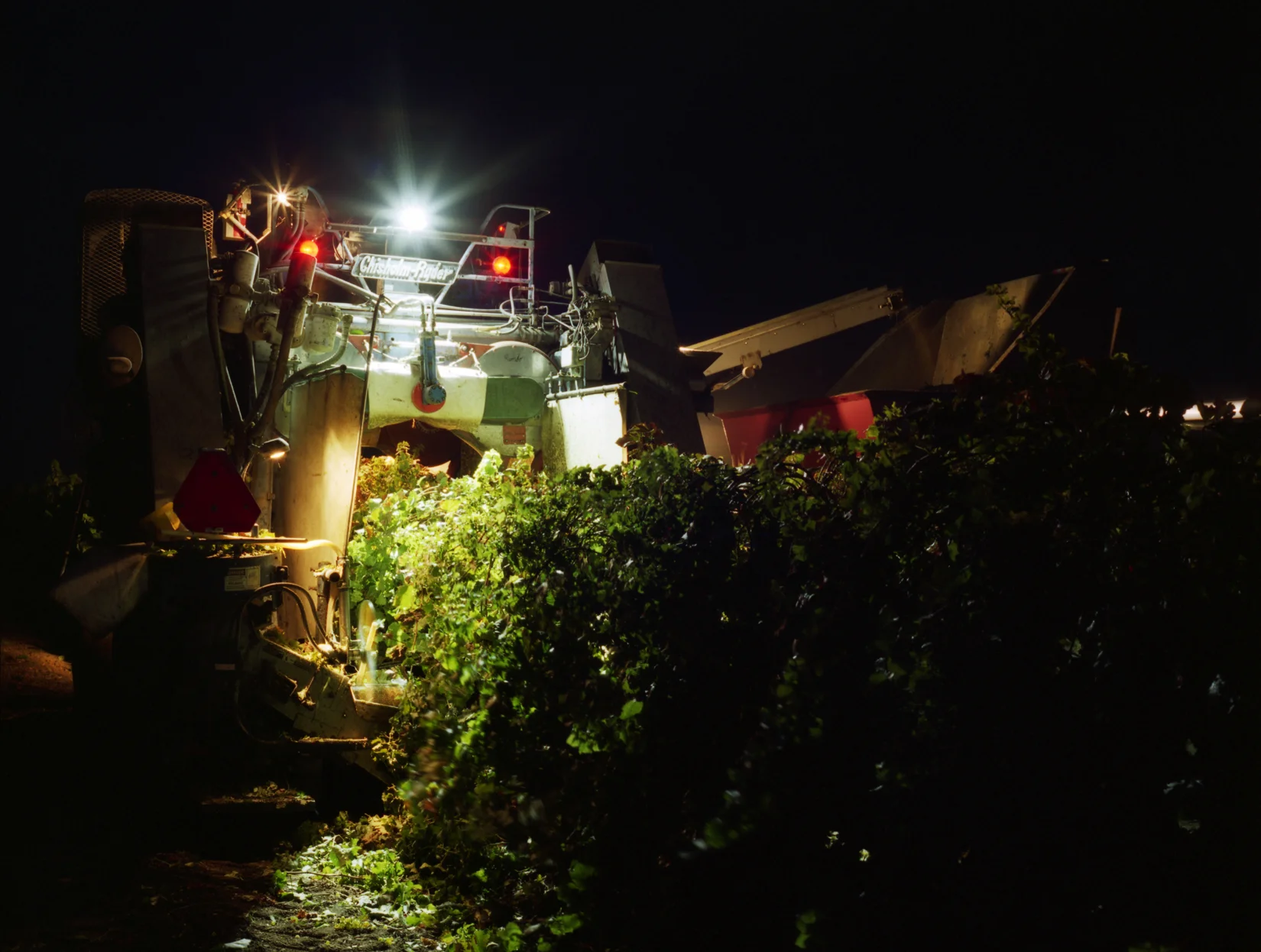  5th Meal/Grape Harvest, 2012, C-Print,&nbsp;16 X 20" 
