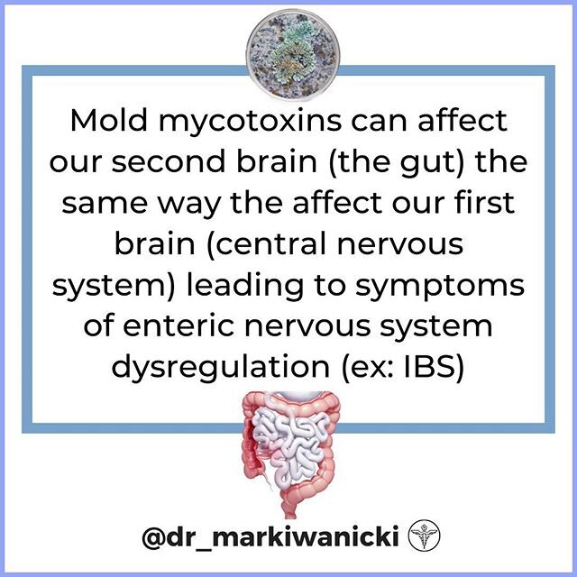 The causes of IBS are varied and extensive. One often overlooked cause is mold and mycotoxin exposure.
🧠
Mold produces toxic substances called mycotoxins which can affect nerves in our brain (causing symptoms of brain fog, fatigue and lowered cognit