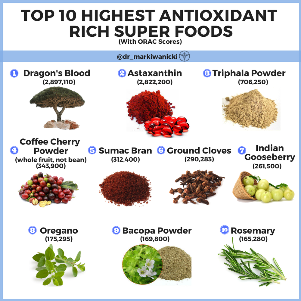 Dr. Mark Iwanicki Top 10 Antioxidants on Earth
