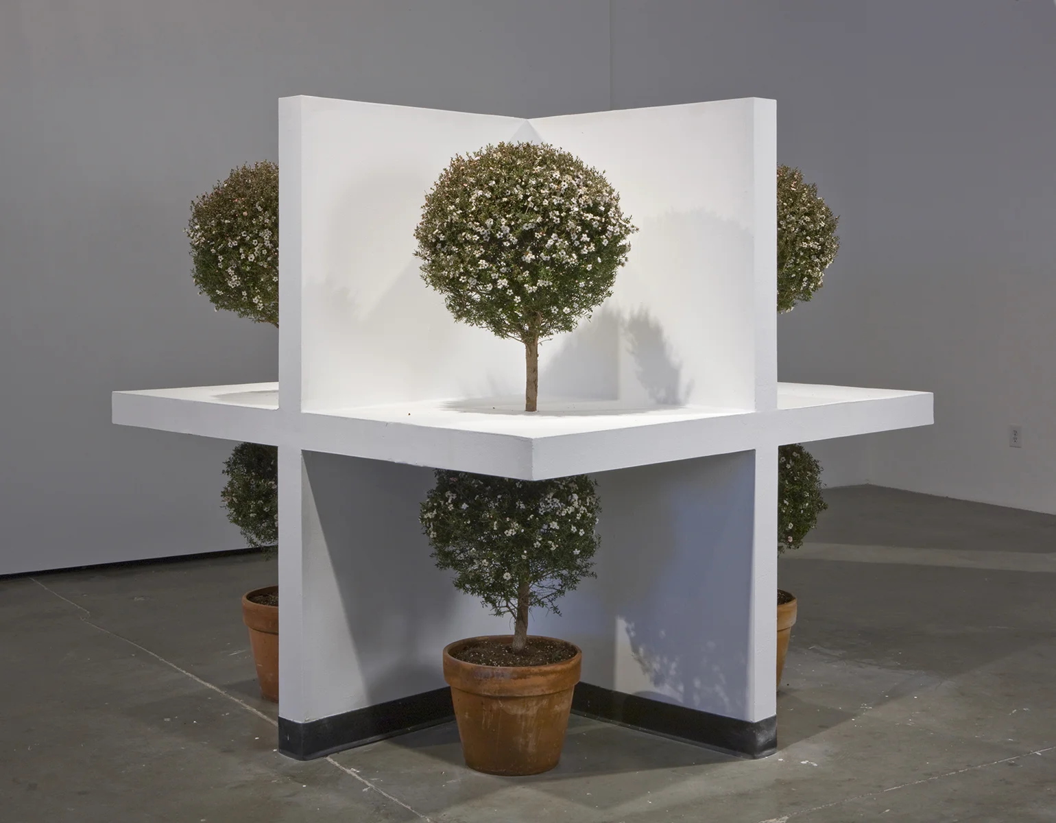 Graft, 2008