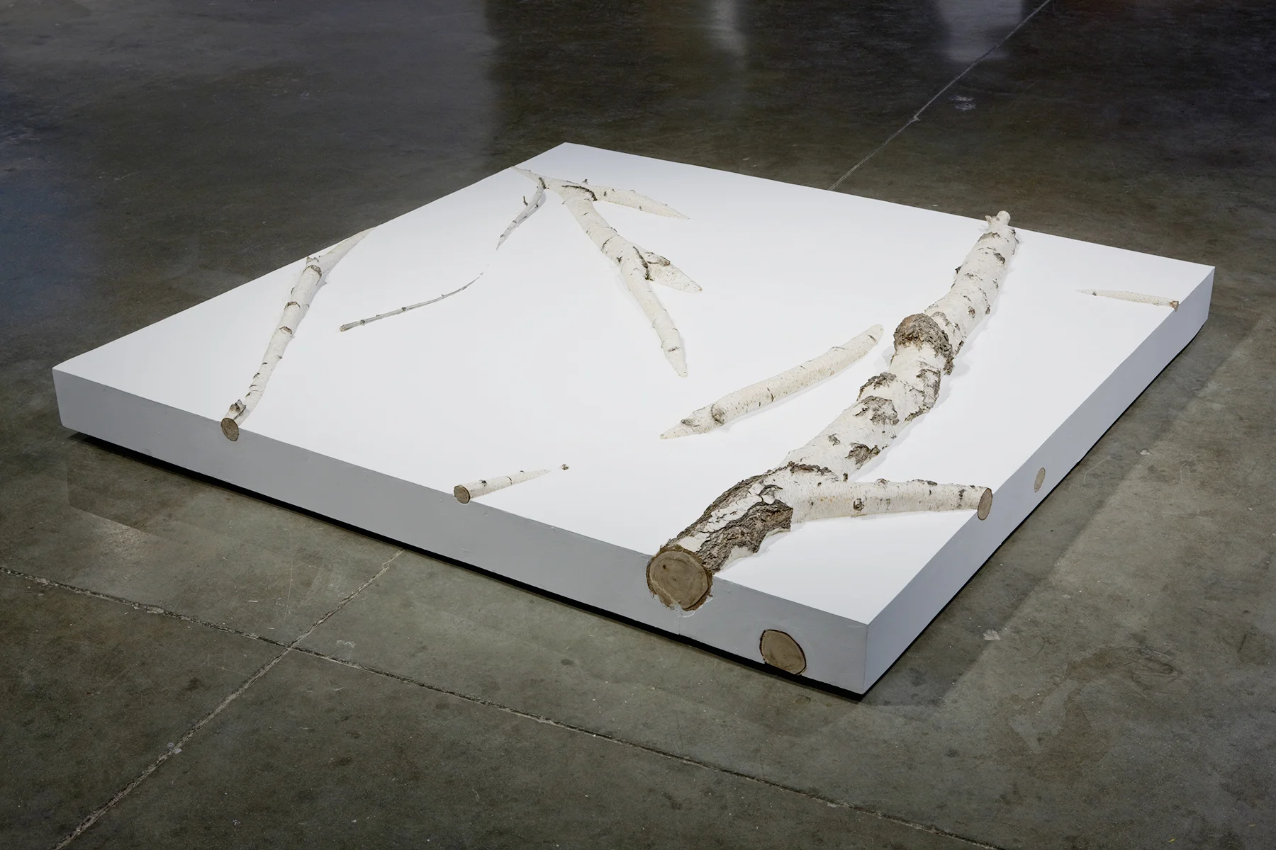 Flirting with Immersion, 2009