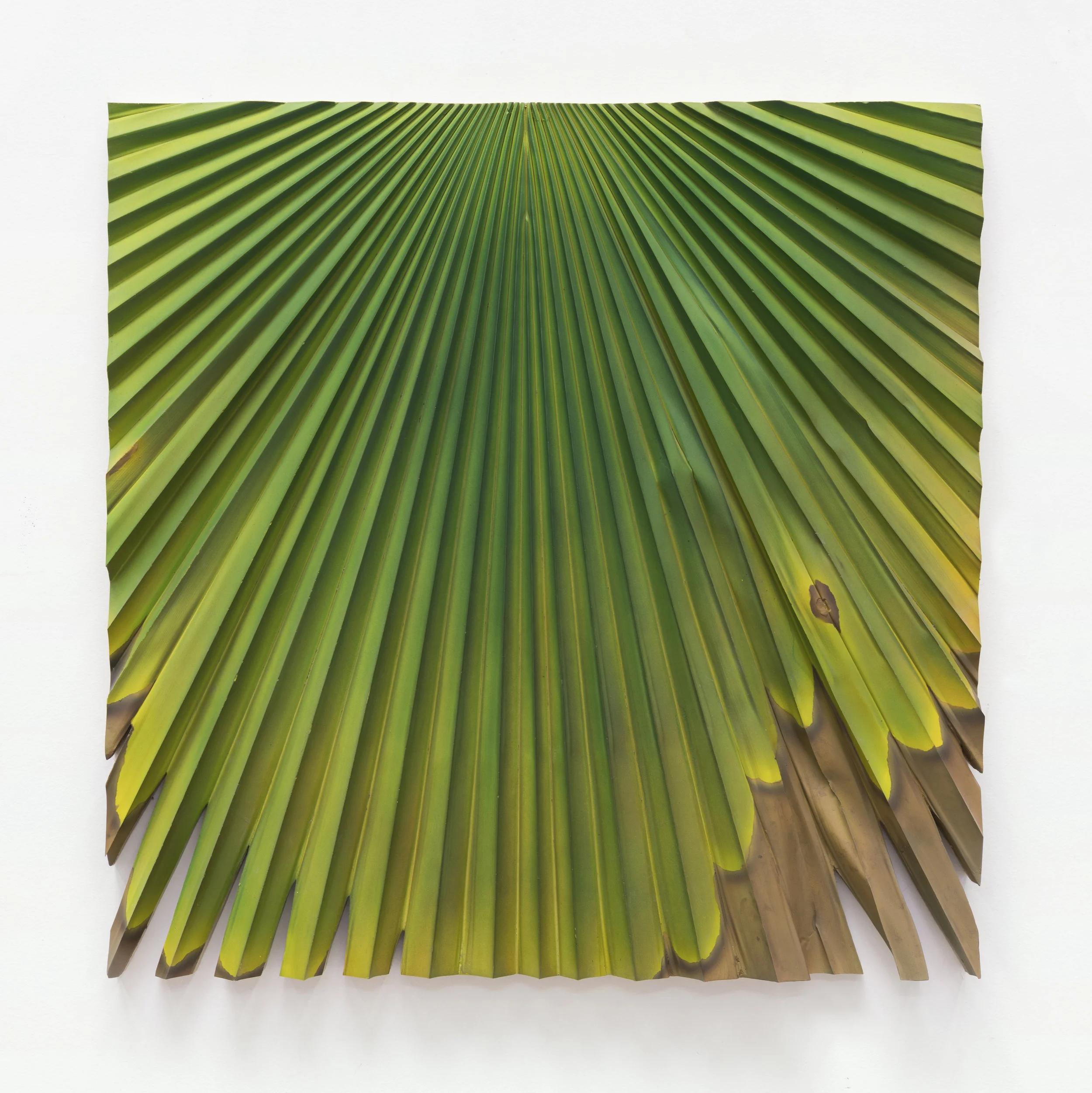 Palm Frond, 2014