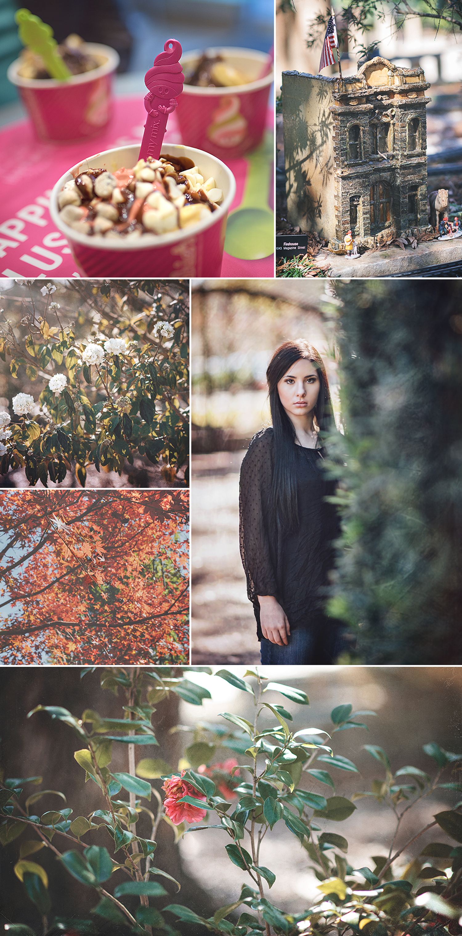 A few of my week 3 favs: Who doesn't take photos of their fro-yo? More flowers in City Park's botanical gardens; A model of a magazine street building along the miniature train track at City Park; beautiful autumn leaves, even though it's supposed to be winter here; a sneak-peek of one of my recent shoots; roses in City Park's botanical gardens.