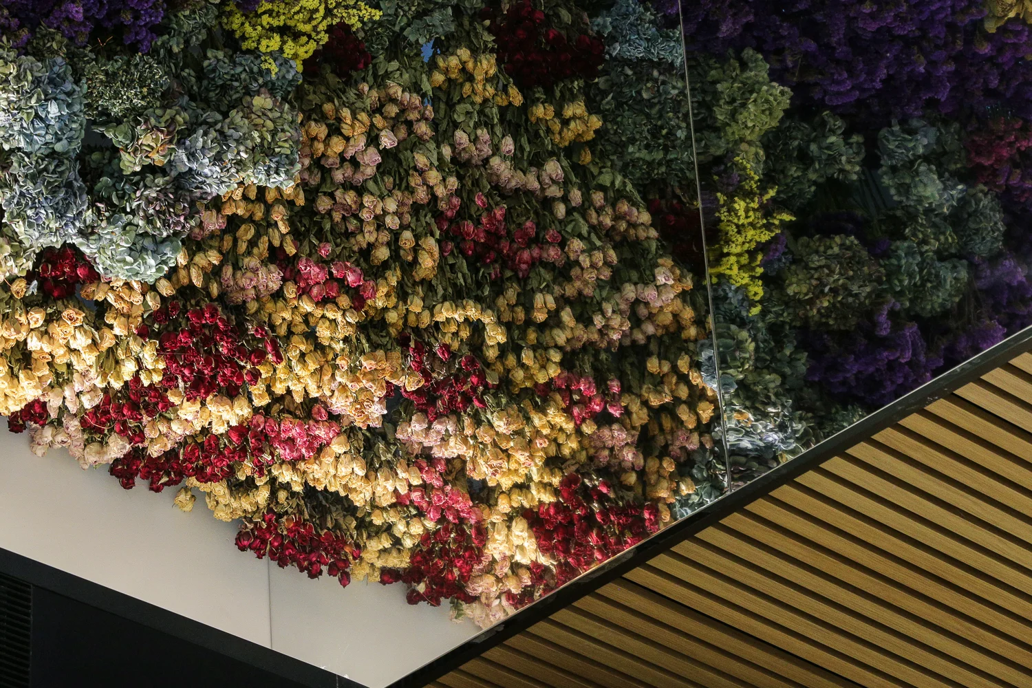 beautygarden-145.jpg