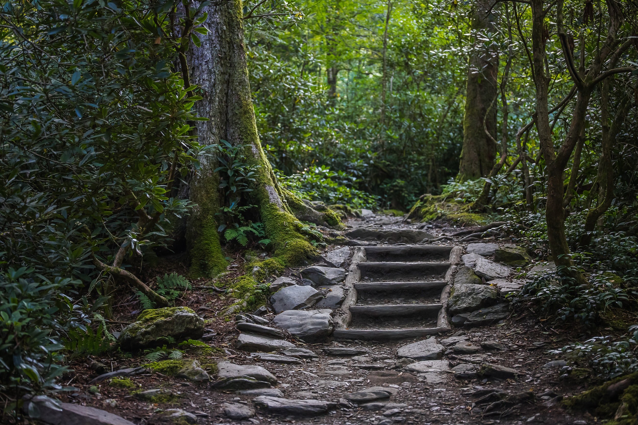 unsplash-image-FQR_ZejpZiY.jpg