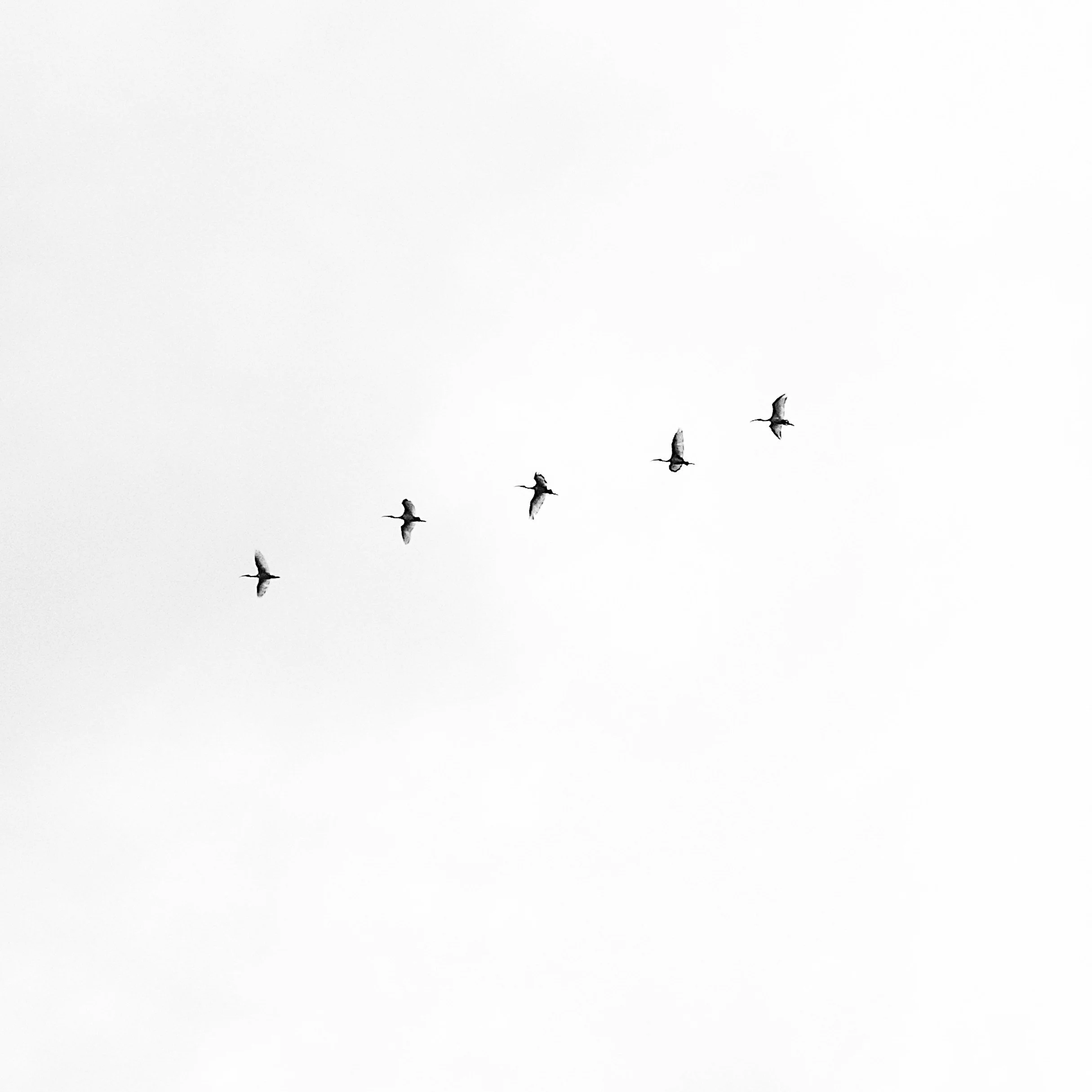 unsplash-image-WRST5Pops3E.jpg