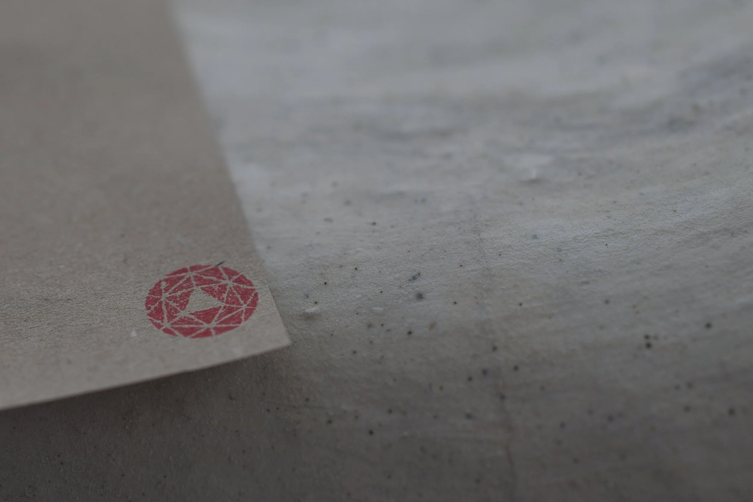 The Emergent Collective mark. From our print designs for the time&space retreat, and shot by Carson Linforth Bowley