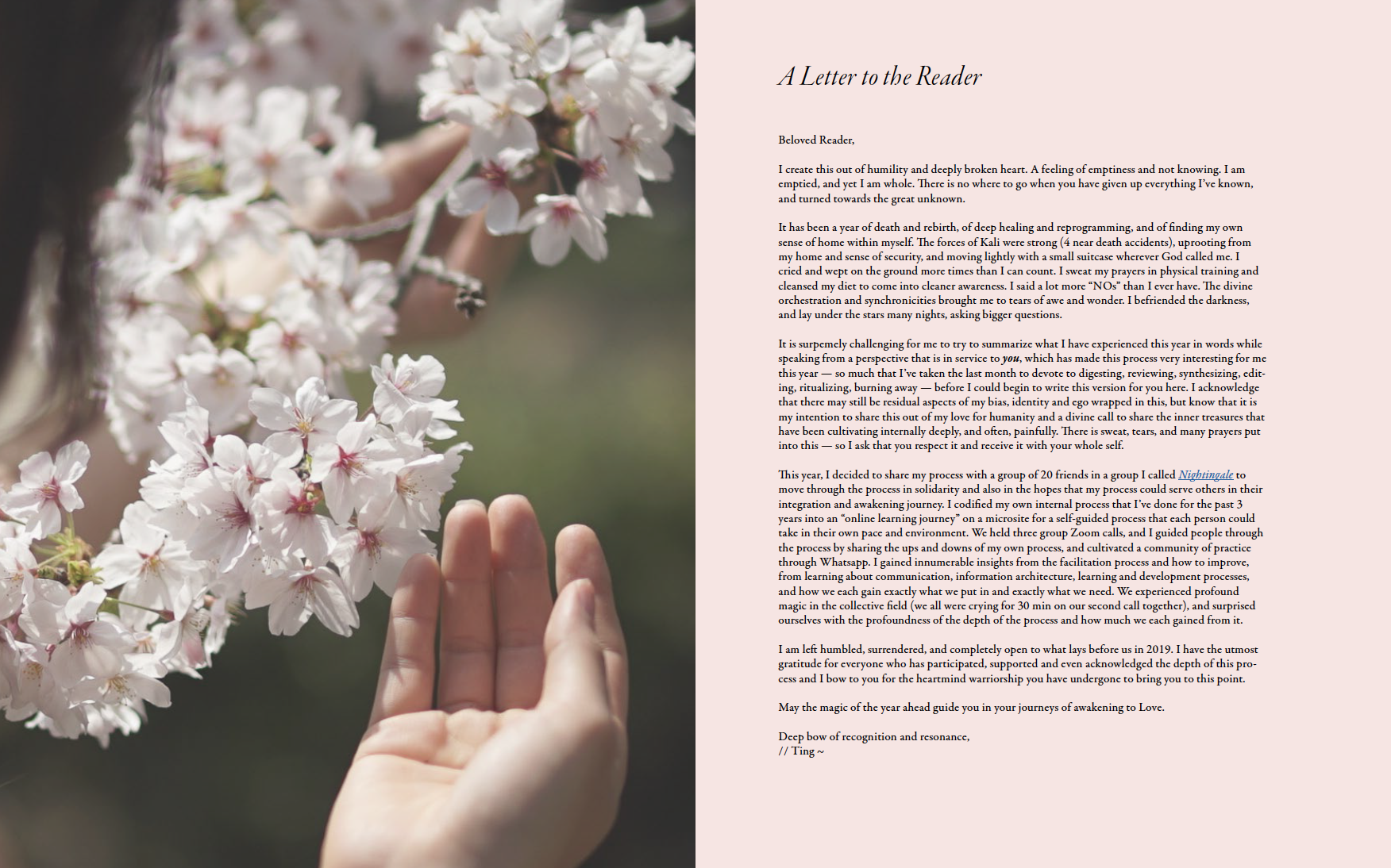 Screenshot 2019-01-10 13.12.45.png