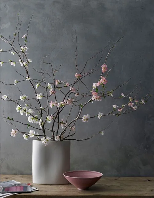 rose pink.jpg