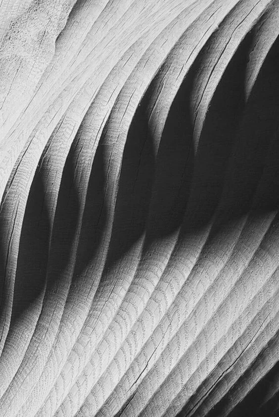 feathers.jpg