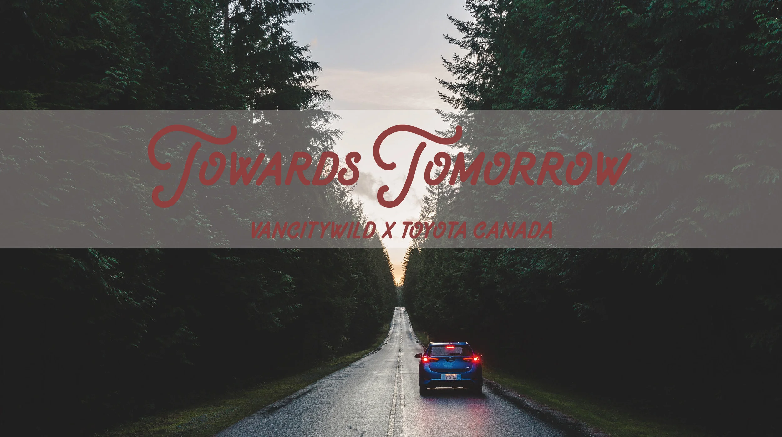 TOYOTA-HEADER-01.jpg