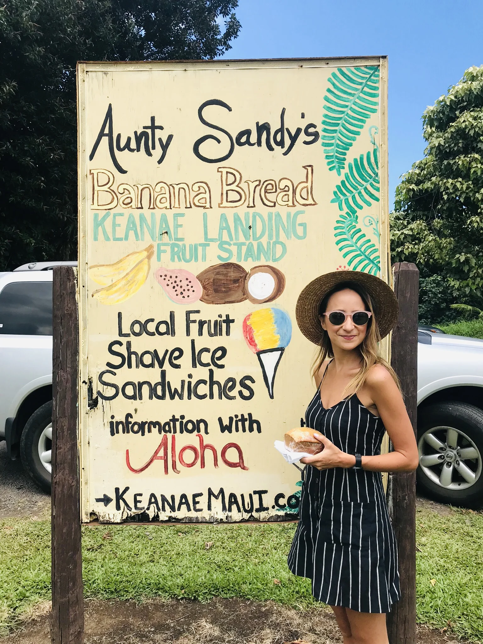 Maui Our Guide to a Hawaiian Paradise VancityWild