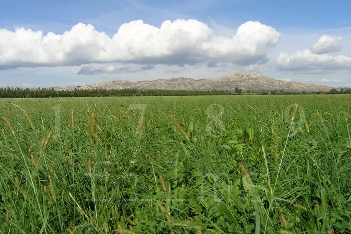 ALP3 01_redimensionner.JPG