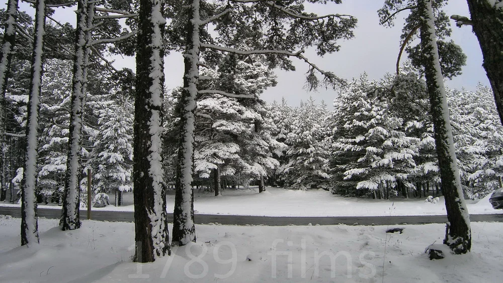 SOUTH SW RD SN 001 10.JPG