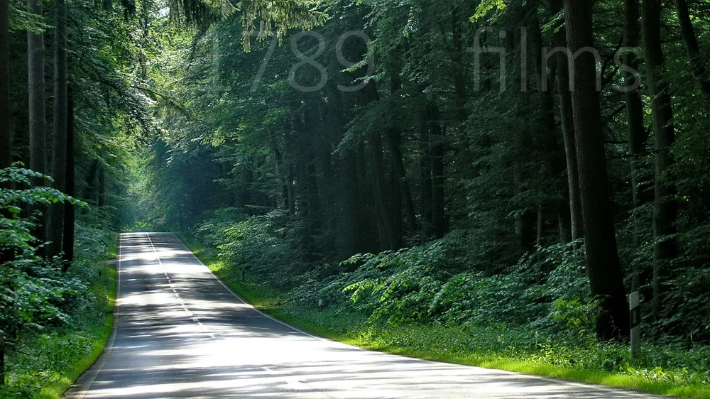 BEYOND D3 119 FOREST RD 11 mdf.JPG