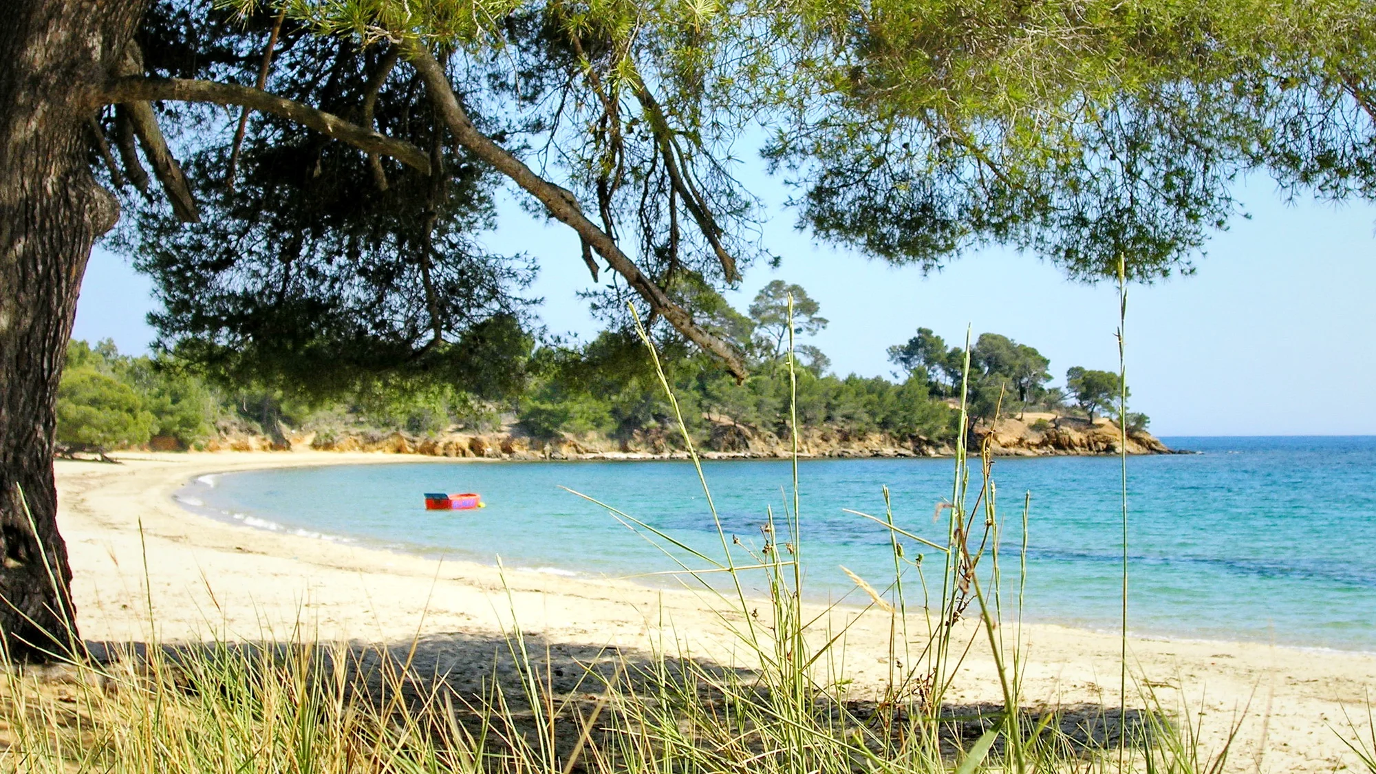 P6120013 mdf 2000.JPG