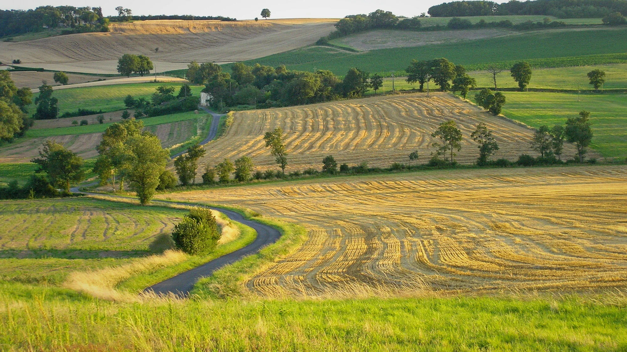 P7040043 mdf 2000.JPG