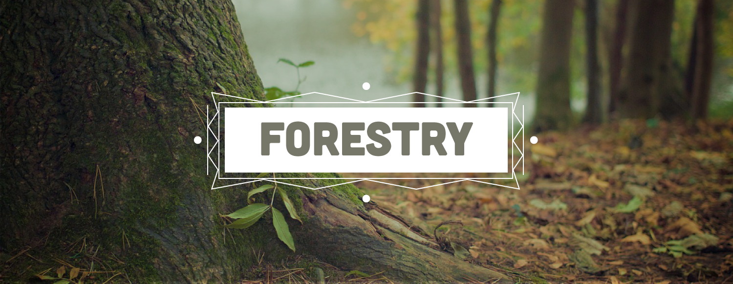 Forestry.png