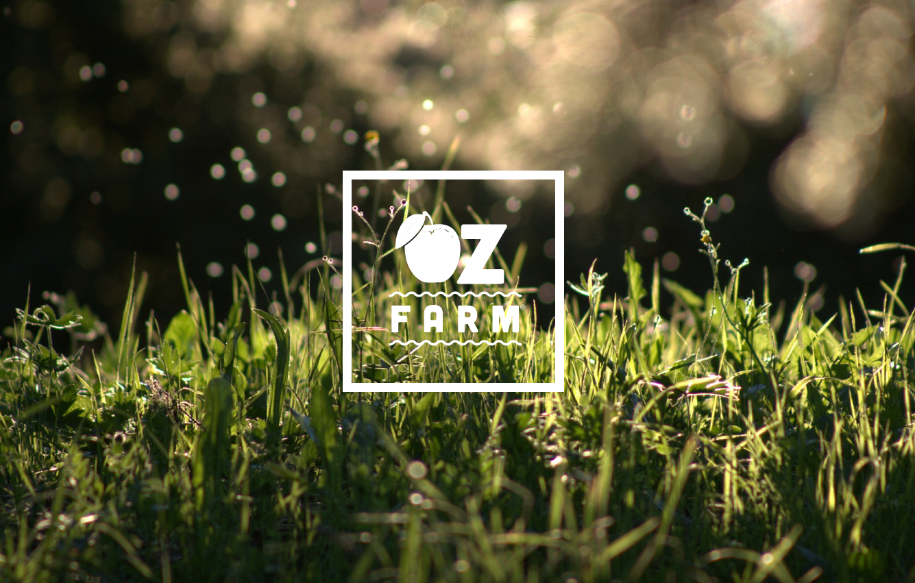 OZ_website_smaller.png