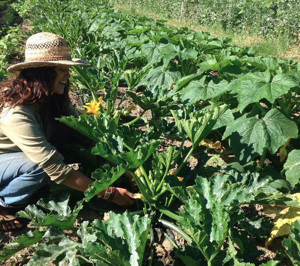 Screen Shot 2017-11-02 at 4.10.13 PM.png