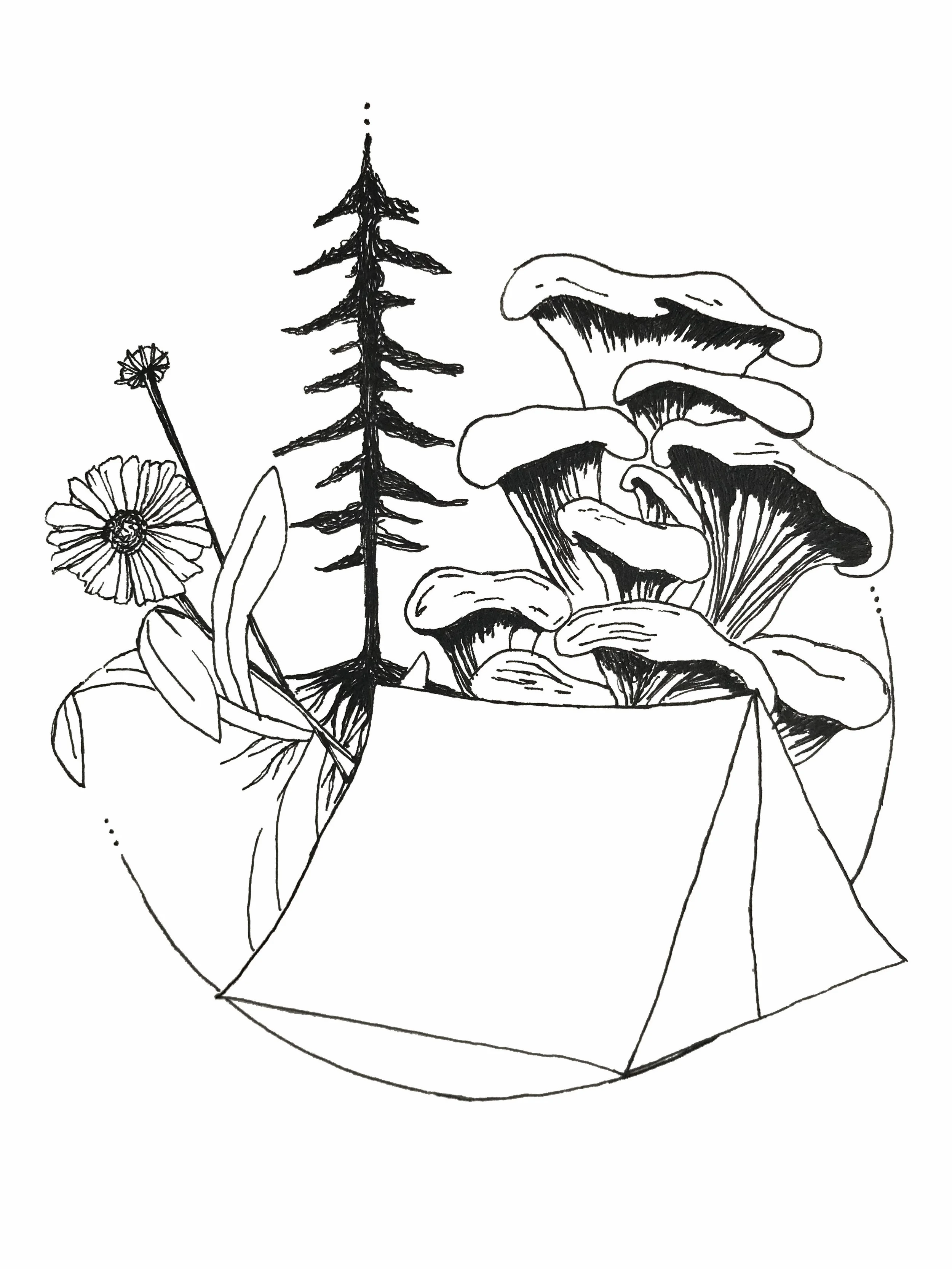 3rd Annual Earth Day at Oz Farm