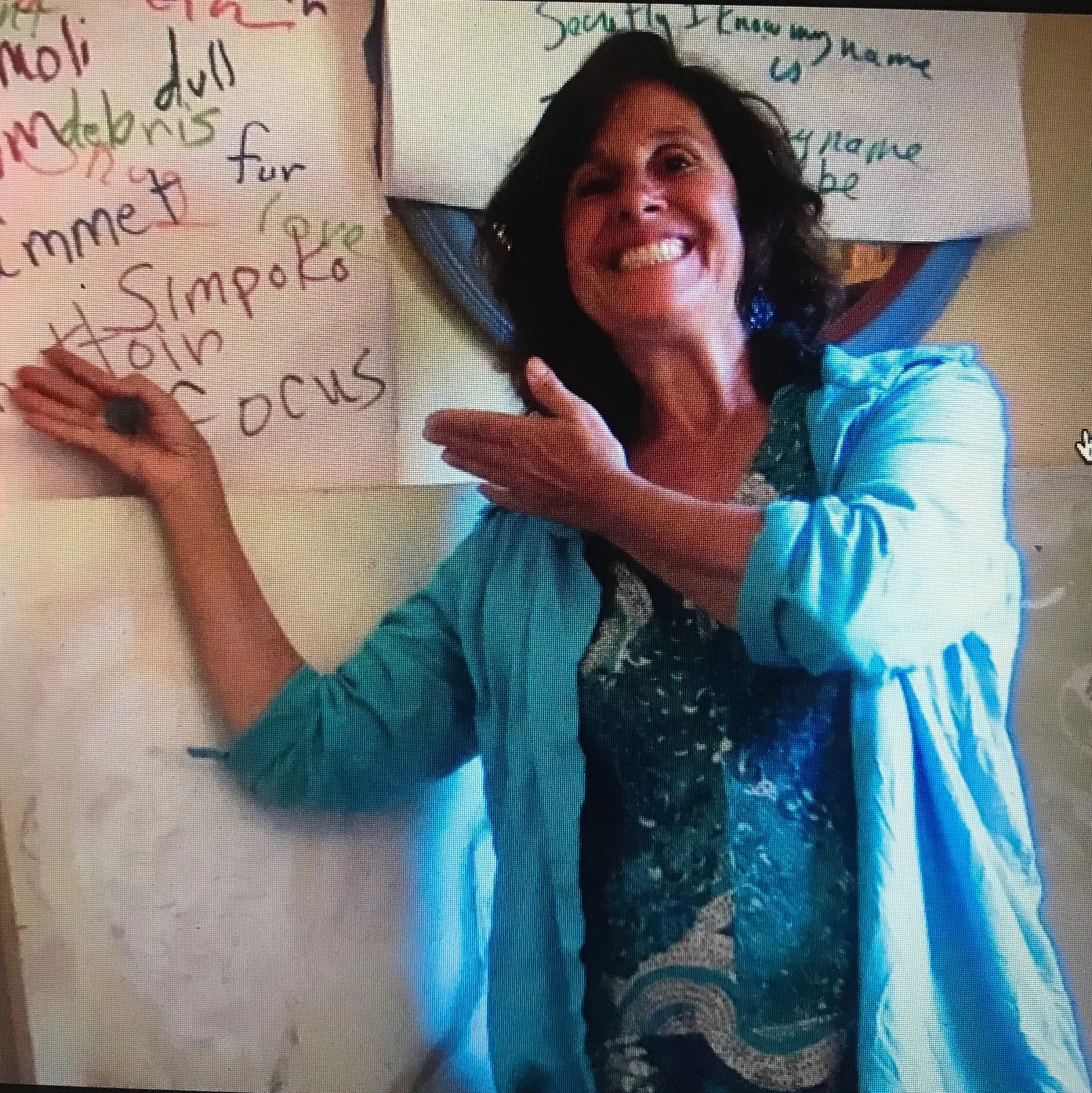 Freeing your Life with Words a Workshop with Susan Wooldridge