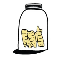 Fermentation &amp; Preservation Retreat Shared Cabin