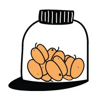 Fermentation &amp; Preservation Retreat Private Cabin