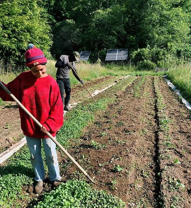 Our Monday&rsquo;s are almost always spent weeding the fields. Weeding gives us an opportunity to get up close with our plants and soil and see how well everything is growing. It allows us a moment for silent reflection or group conversation, and alw