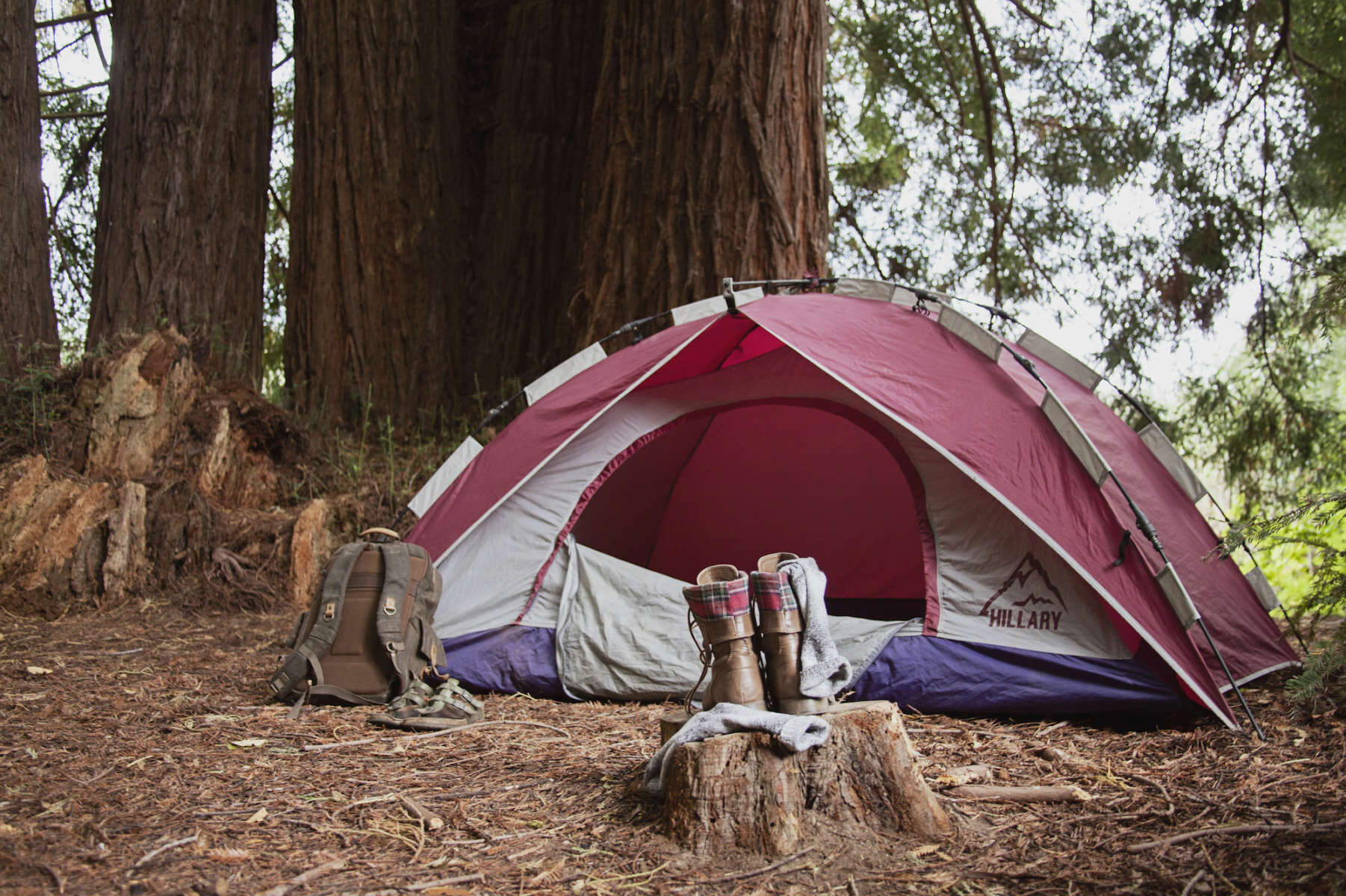 oz-farm-the-campsite-northern-california-tent-lodging.jpg