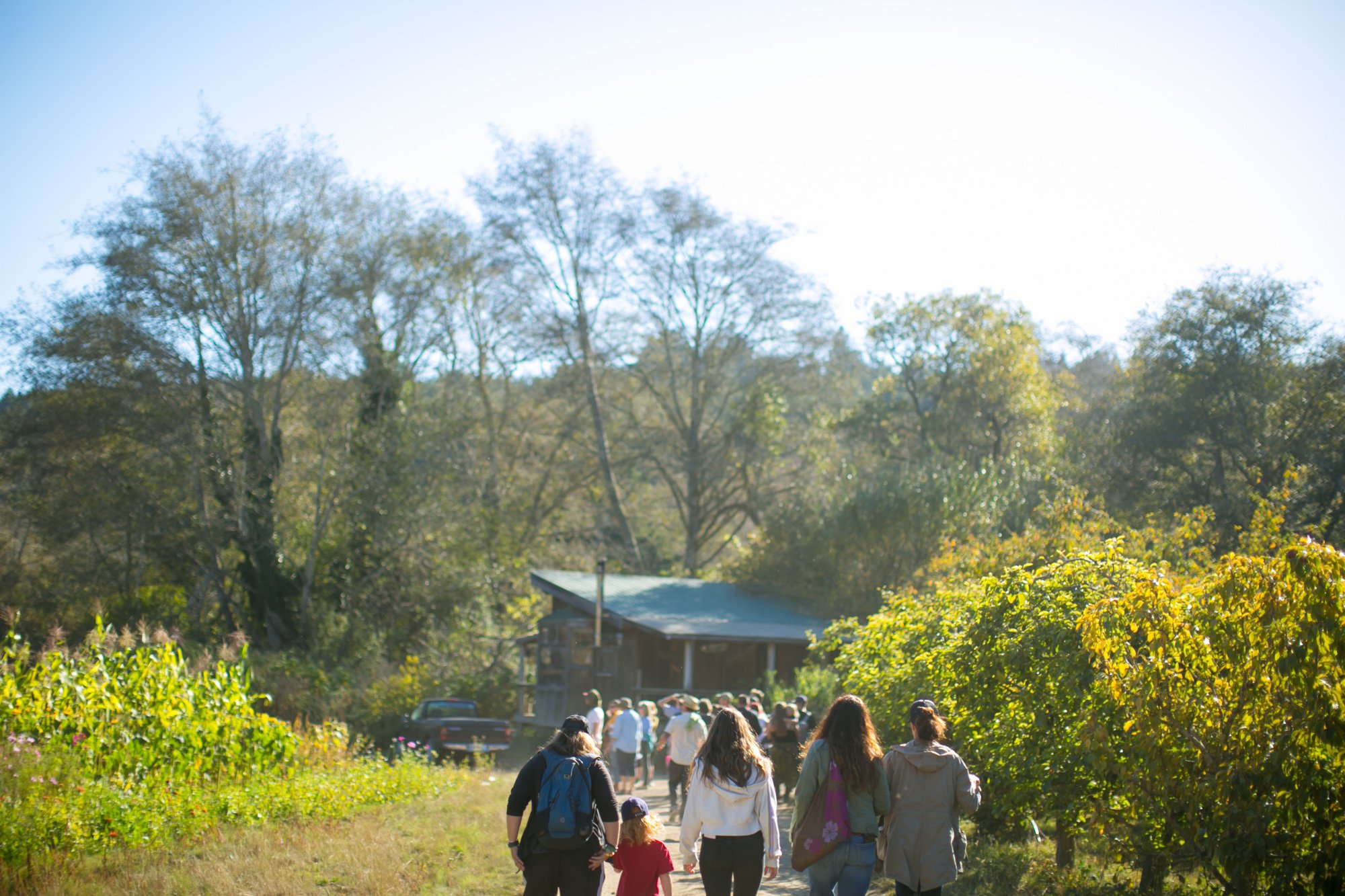 24_julielaflammephoto_191102_ozfarmharvestfest_095.jpg