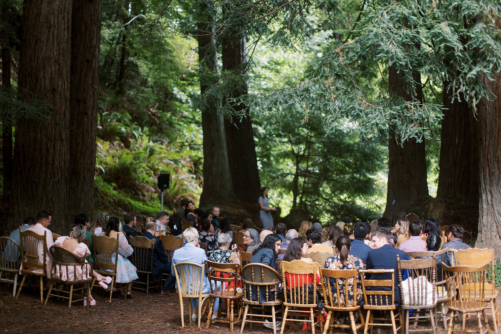Redwood Grove Ceremony Area