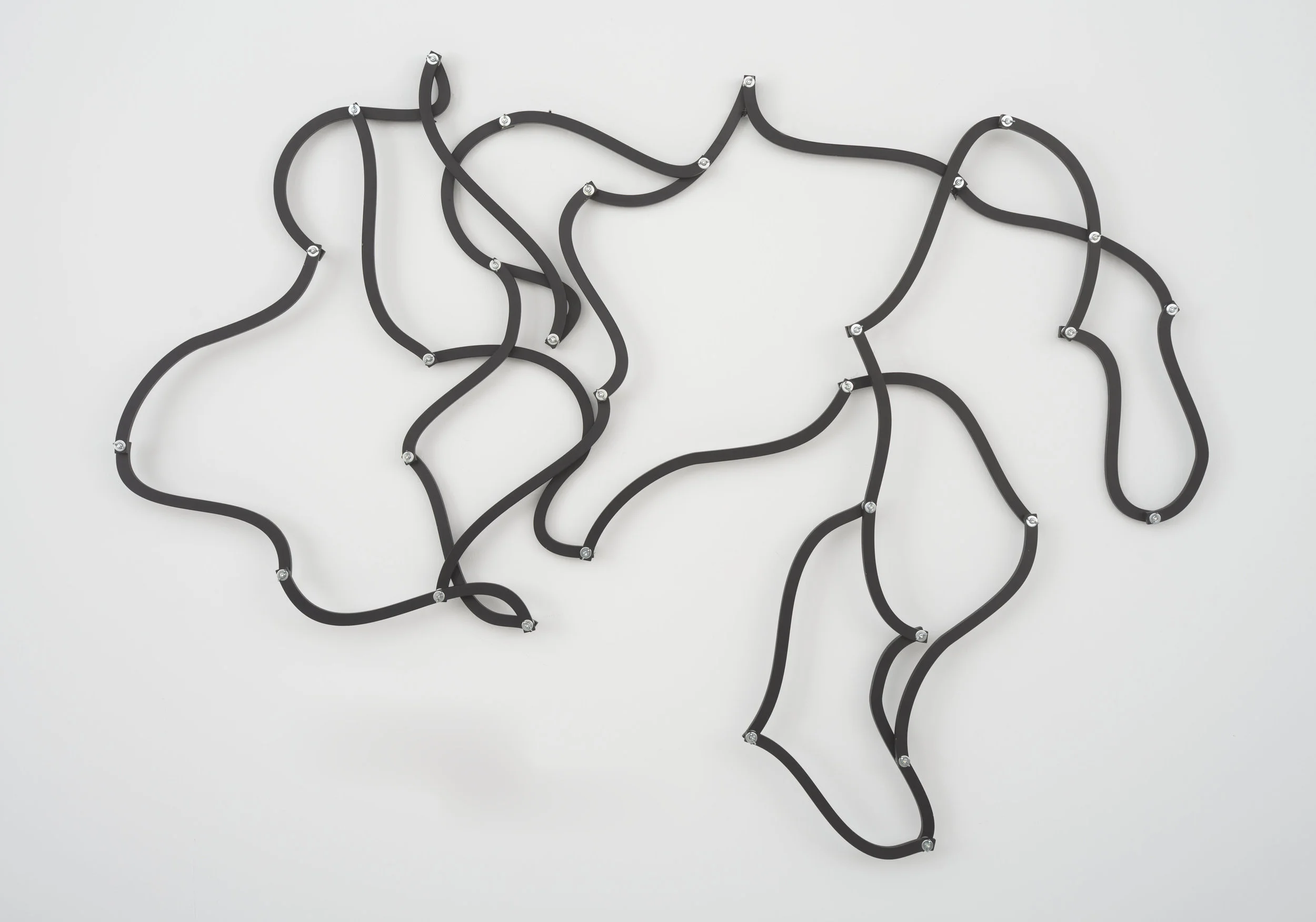 Beto De Volder. Untitled . Acrylic over mdf and scews. Dimesions Variable, 2012
