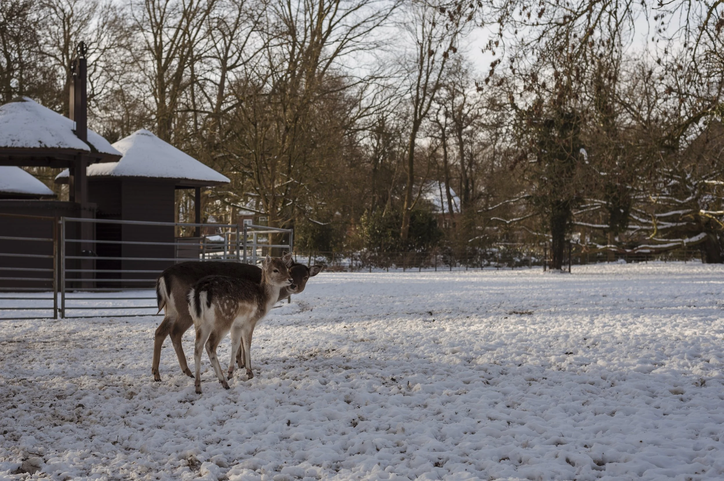 AFTER V COR (24).jpg