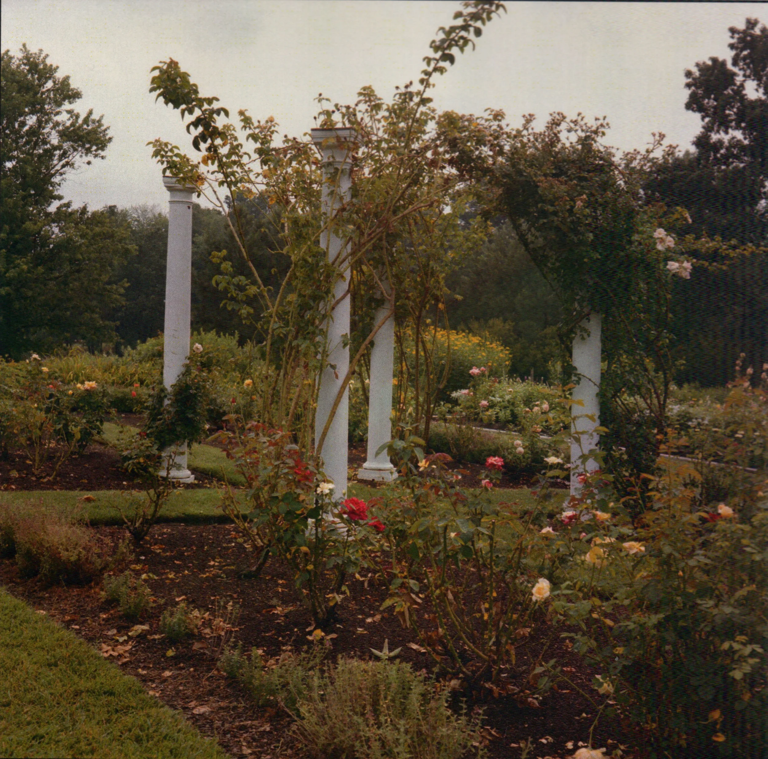 7_white_pillars.jpg