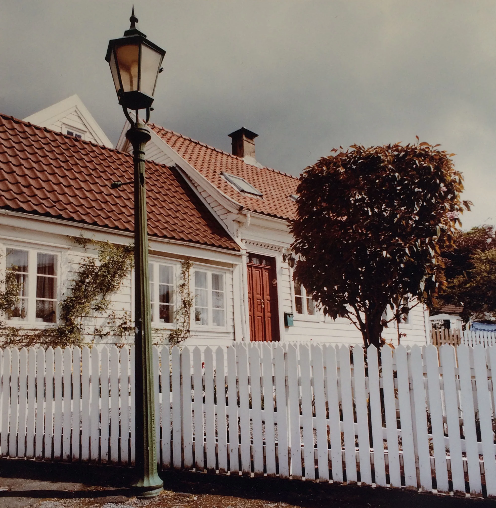first_landscape.jpg