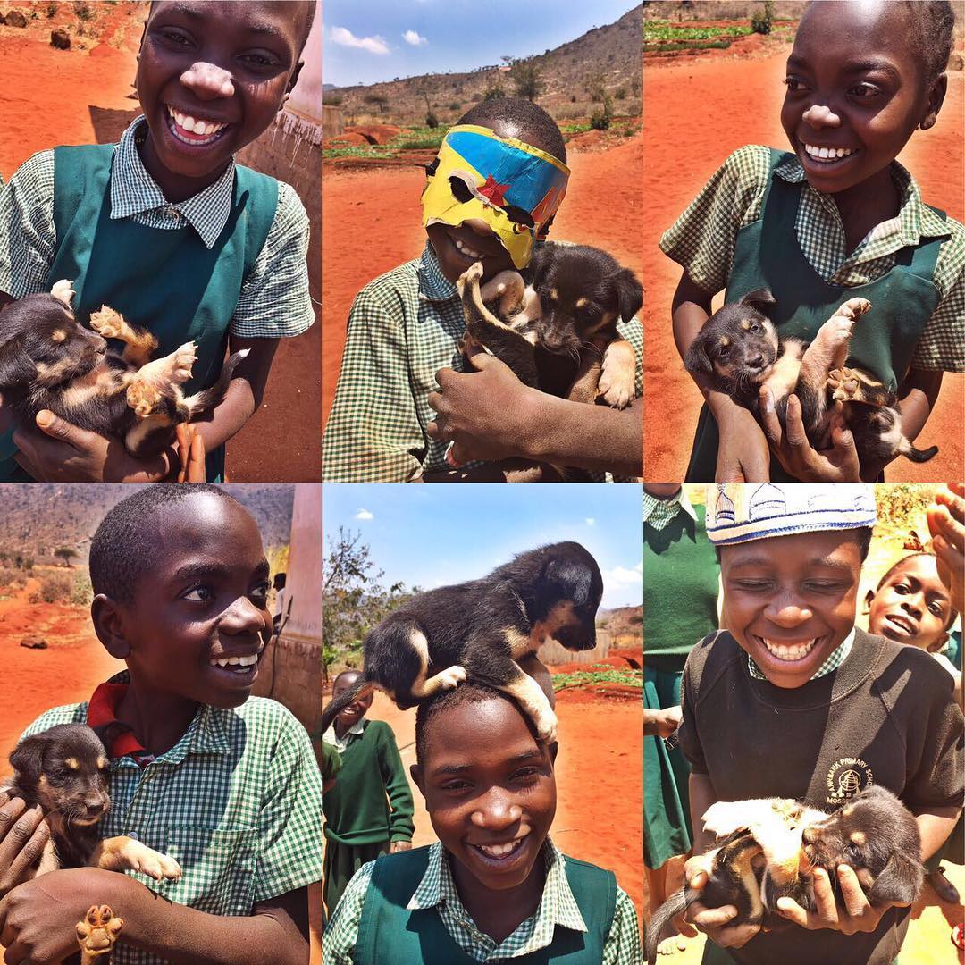 Puppies!