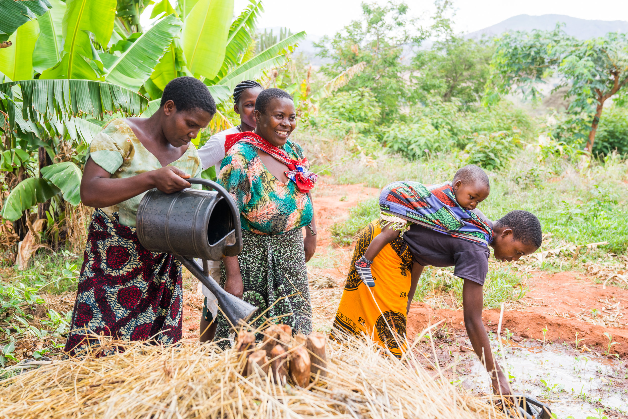 Working on the kitchen garden