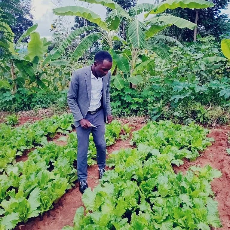 Our School Garden!
Producing for our own consumption, and selling the surplus for petty cash purposes ❤️

#mlali #tanzania #tanzaniaeducation #mlalicommunitytrust