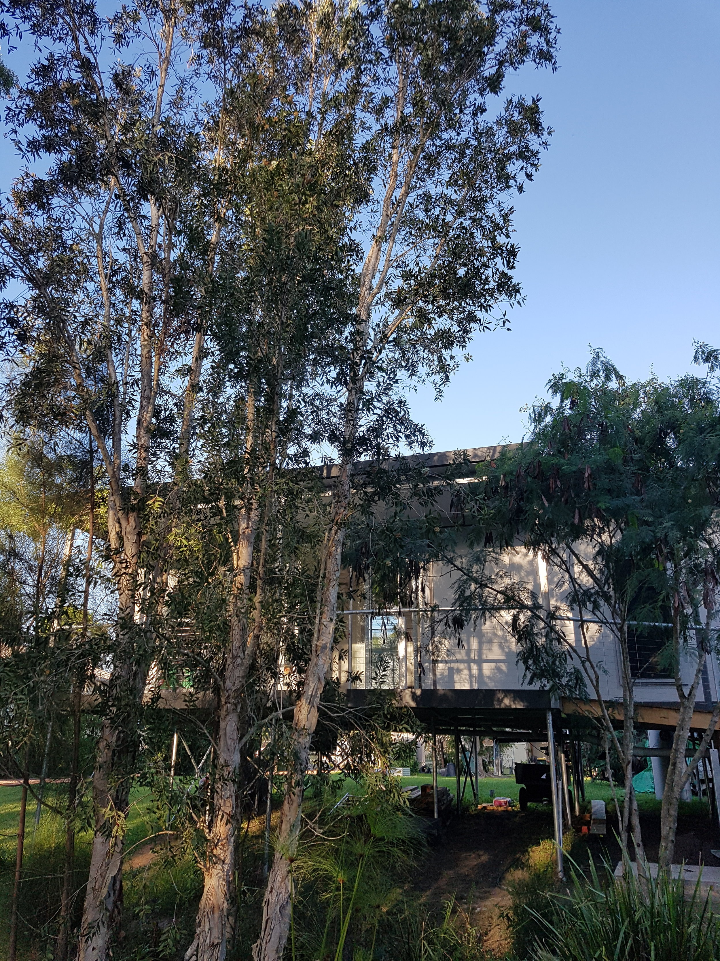 Copy of 20180409_162749.jpg