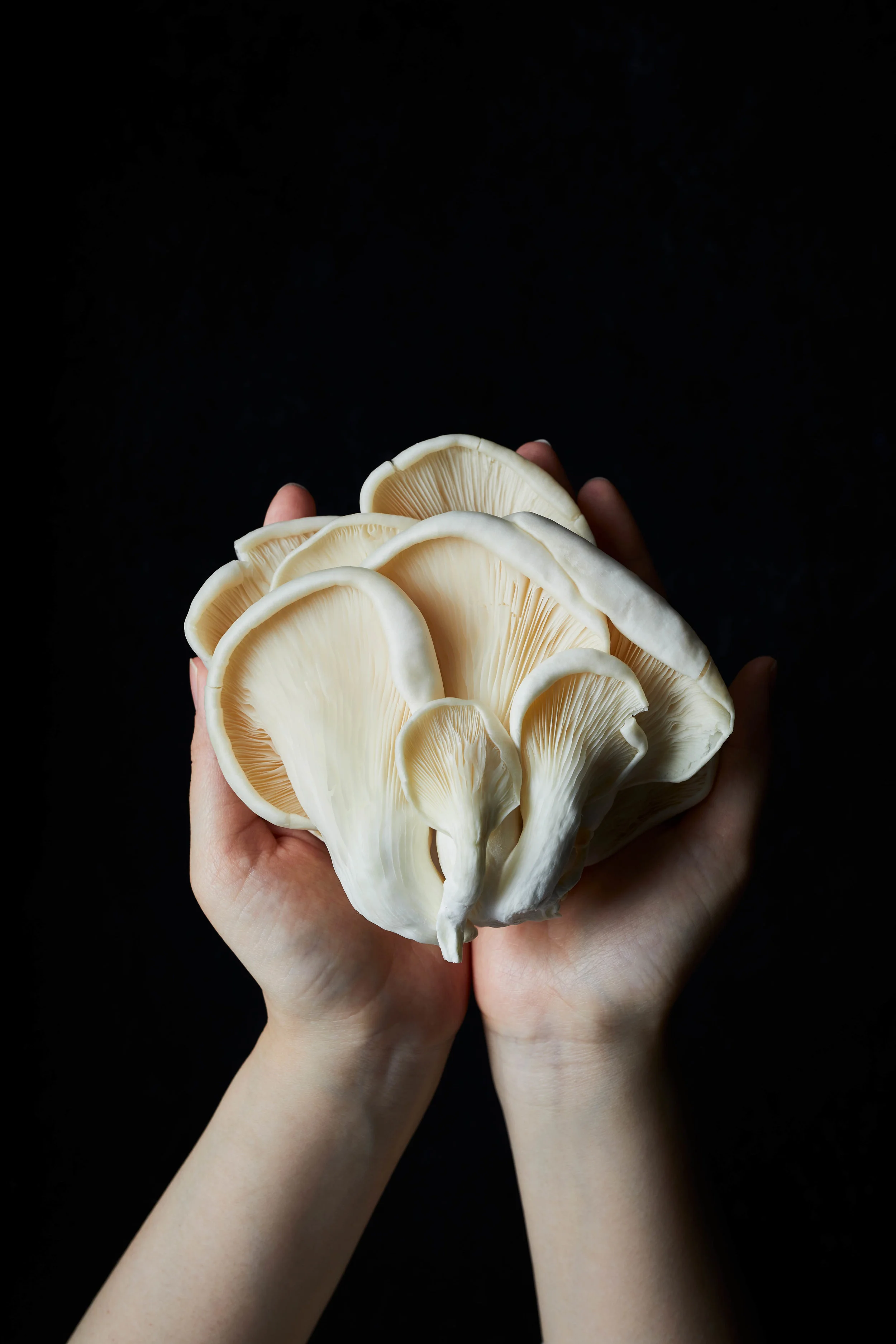 2019.08.27_ISHIZUKA_17_Veggies_007.jpg