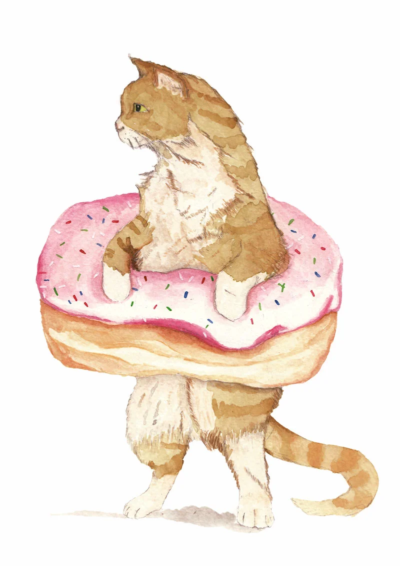 Donut Cat