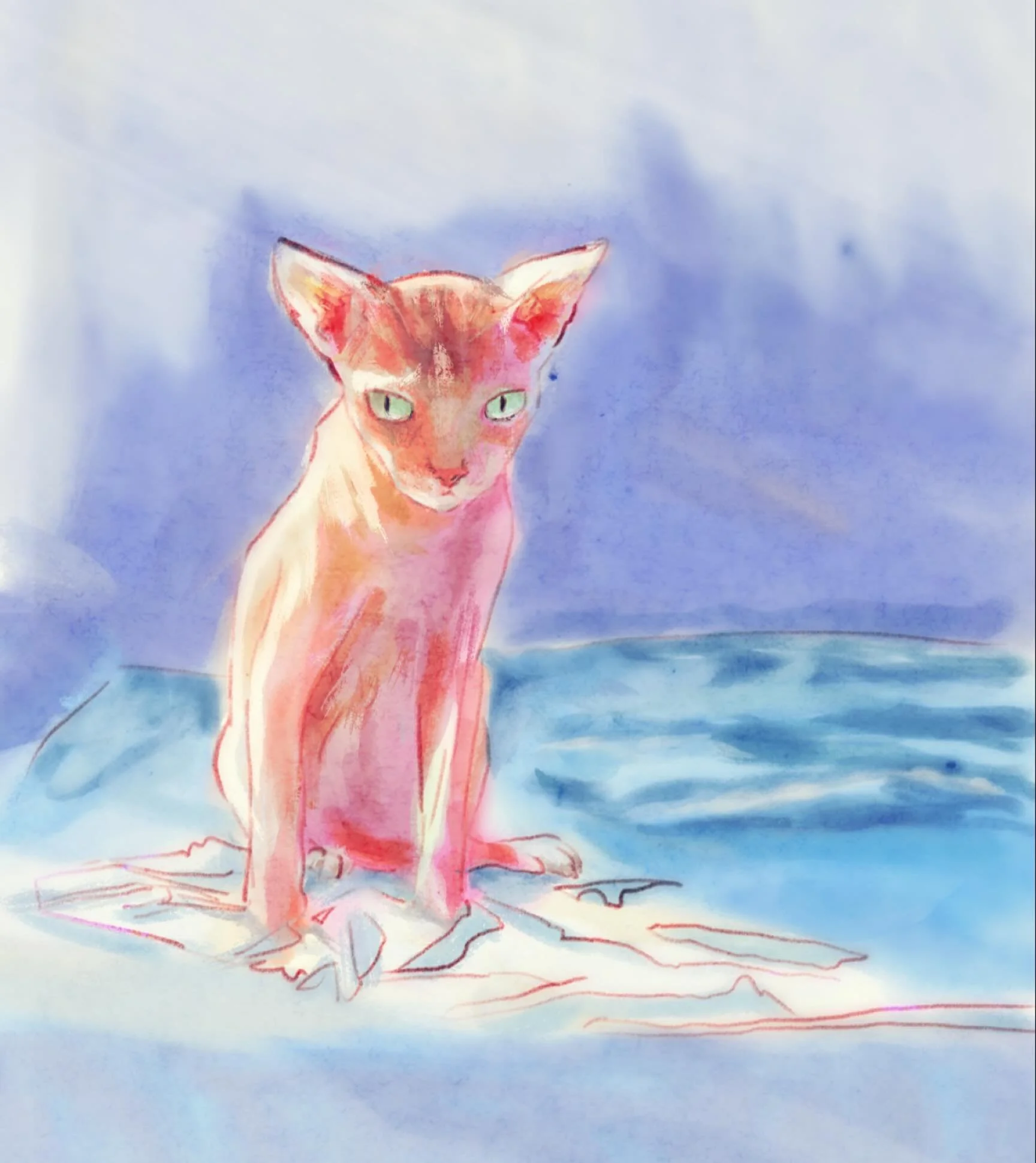 New painting of Ruttu. Used Procreate&rsquo;s new gouache brushes in their latest version 5.4 and enjoyed them a lot. Ruttu is 16 this year and still plays and behaves like a kitten. He has to take supplements for his kidneys now but besides that he&