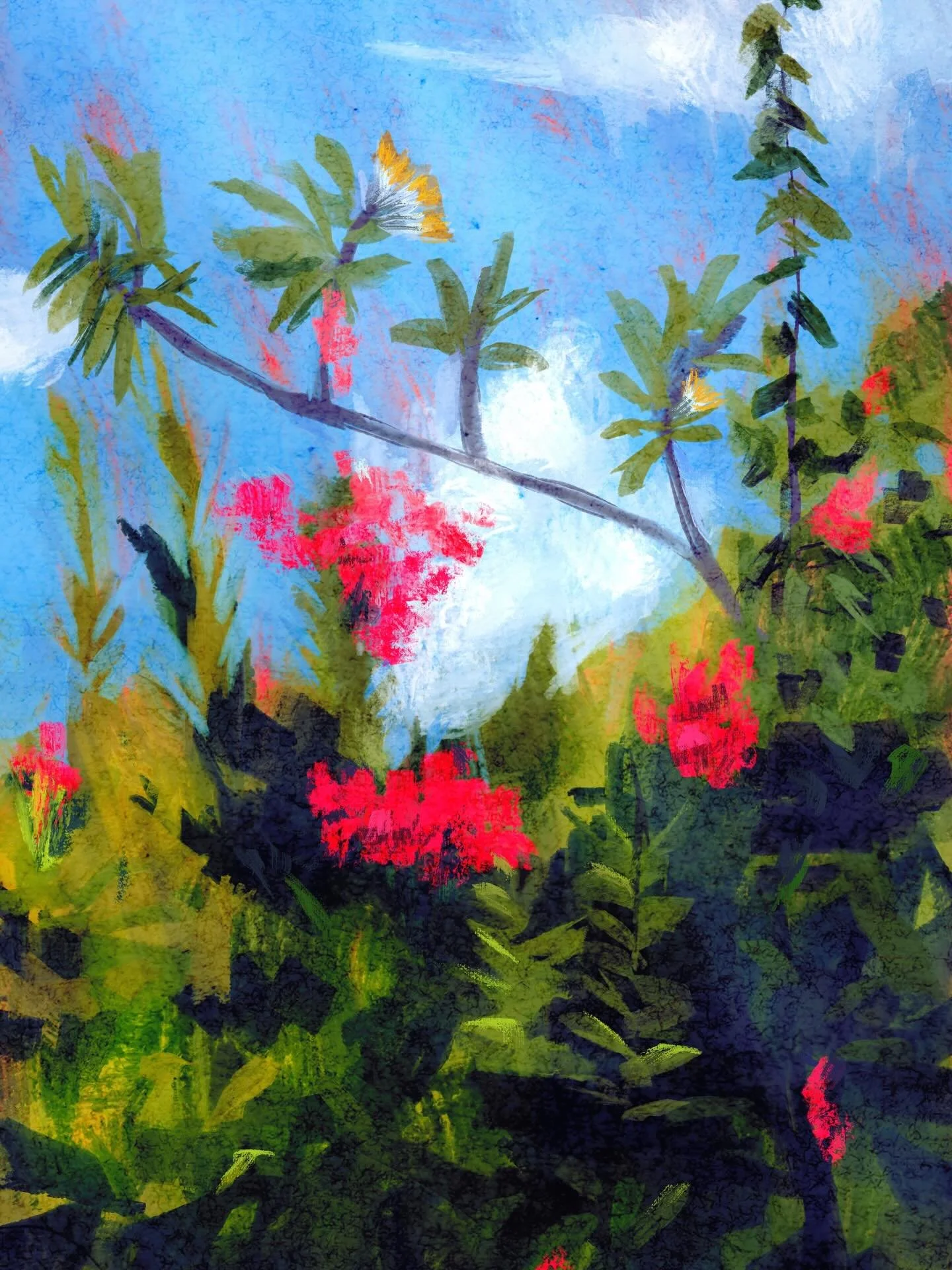 Bougainvilleas I saw during my walk. Need to get more of these low pressure paintings out. #procreateartwork