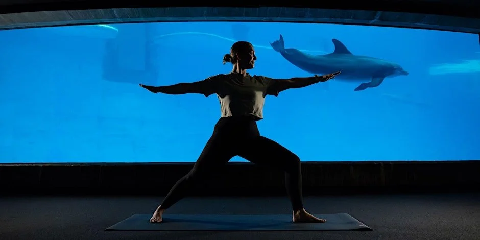 Yoga @ the Aquarium