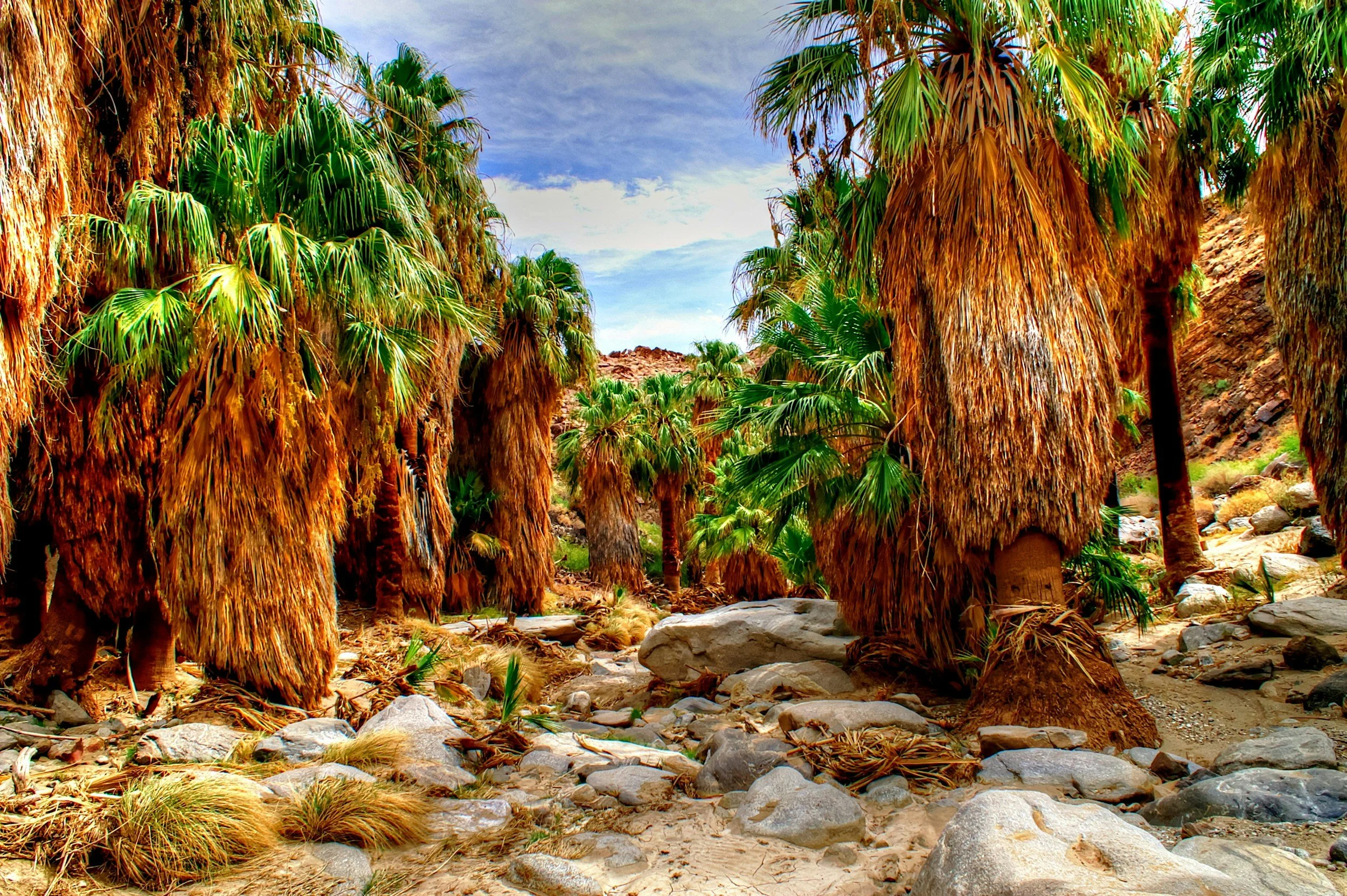 woman hiking in the desert